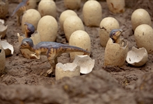 Hadrosaur hatchlings © The Trustees of The Natural History Museum, London